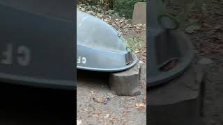 Famous 1st Green / Blue Easter Egger Egg @ 6 Months!! Colored Eggs Finally!! 💙🐔 Wealth