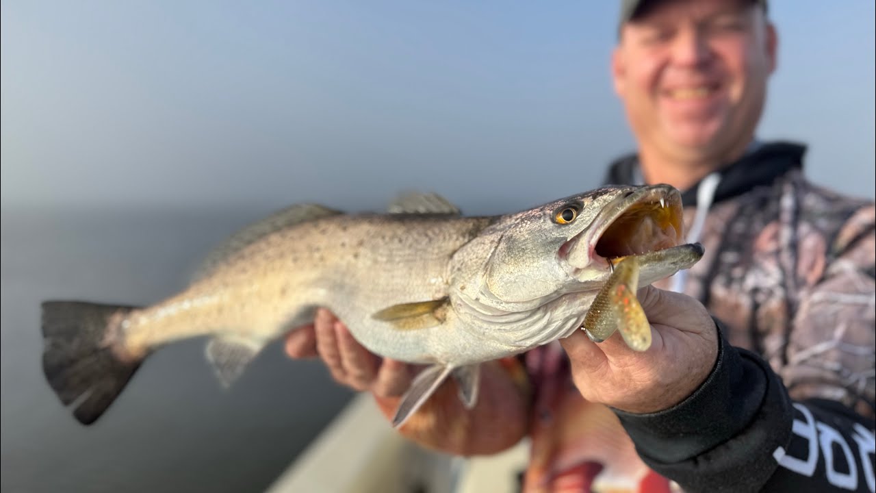 DockSide TV: «Крупные рыбы прячутся возле пляжа Линкольна»