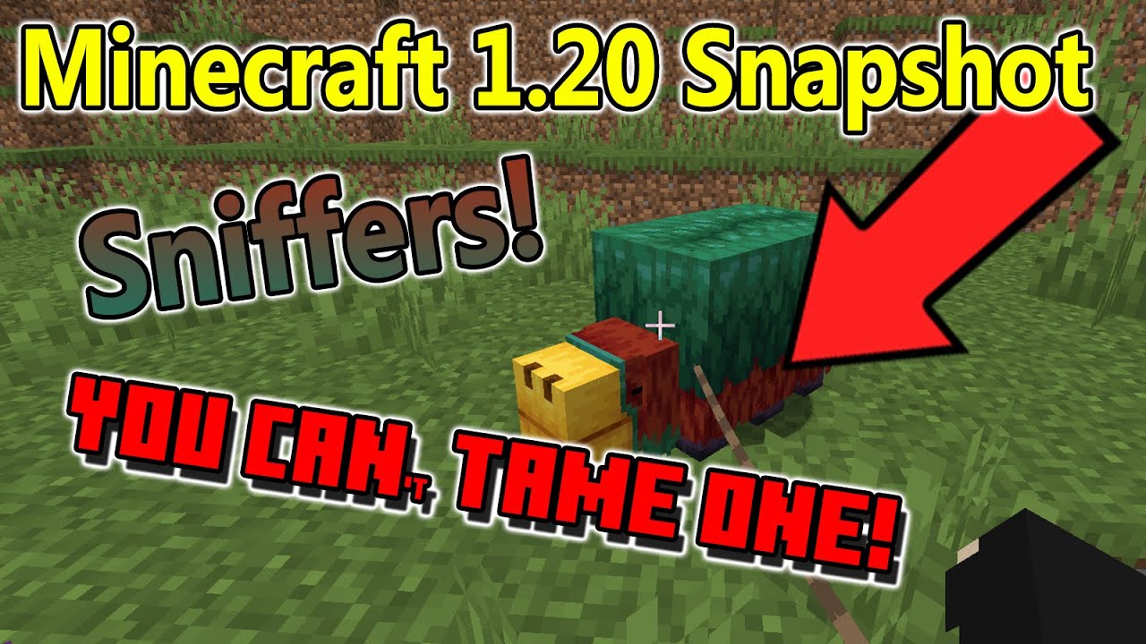 Minecraft 1.20 Snapshot Just the Sniffer! YouTube