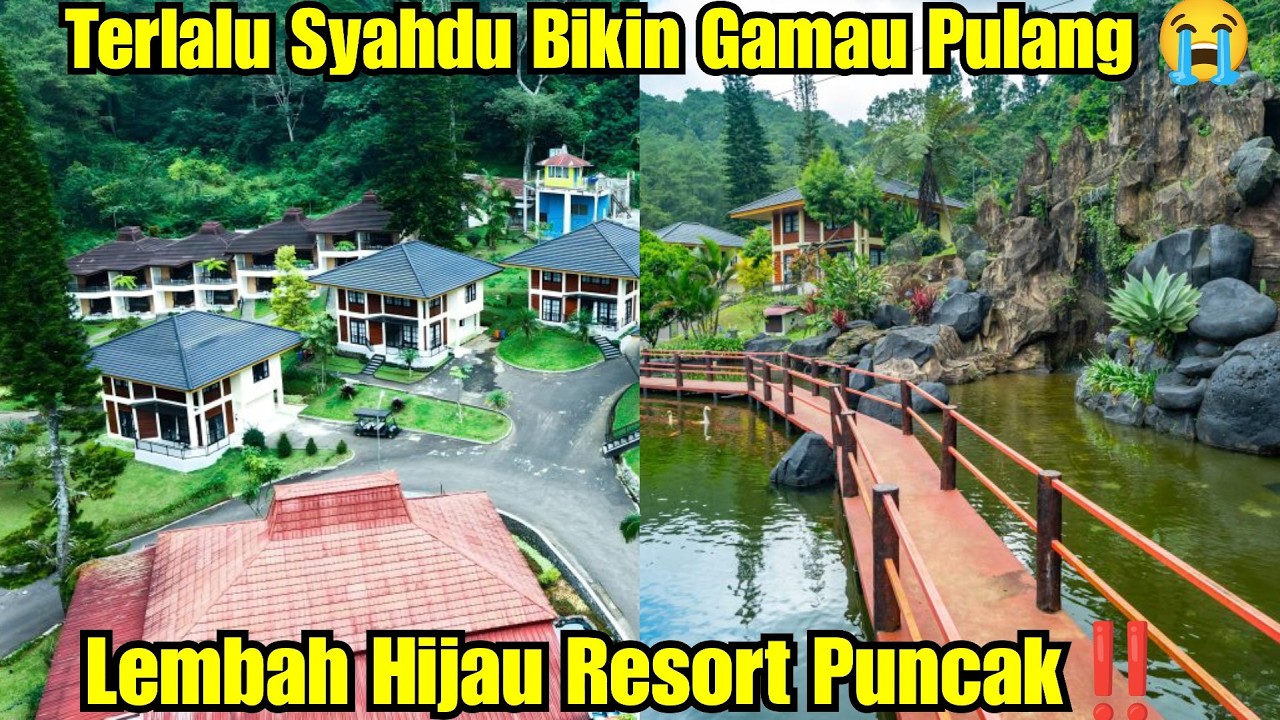 Lembah Hijau Resort Ciloto udara dingin Hutan pinus 400 ribuan type standar twin full review