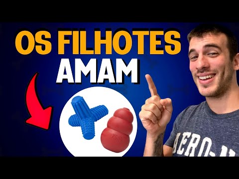 Vídeo: Os 6 melhores brinquedos para filhotes