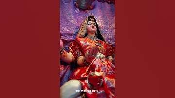 Kali ji bhaiya ji vaidhya Sagar mp 2024 the vlogger mp15 #sagarmp #navratri #thevloggermp15