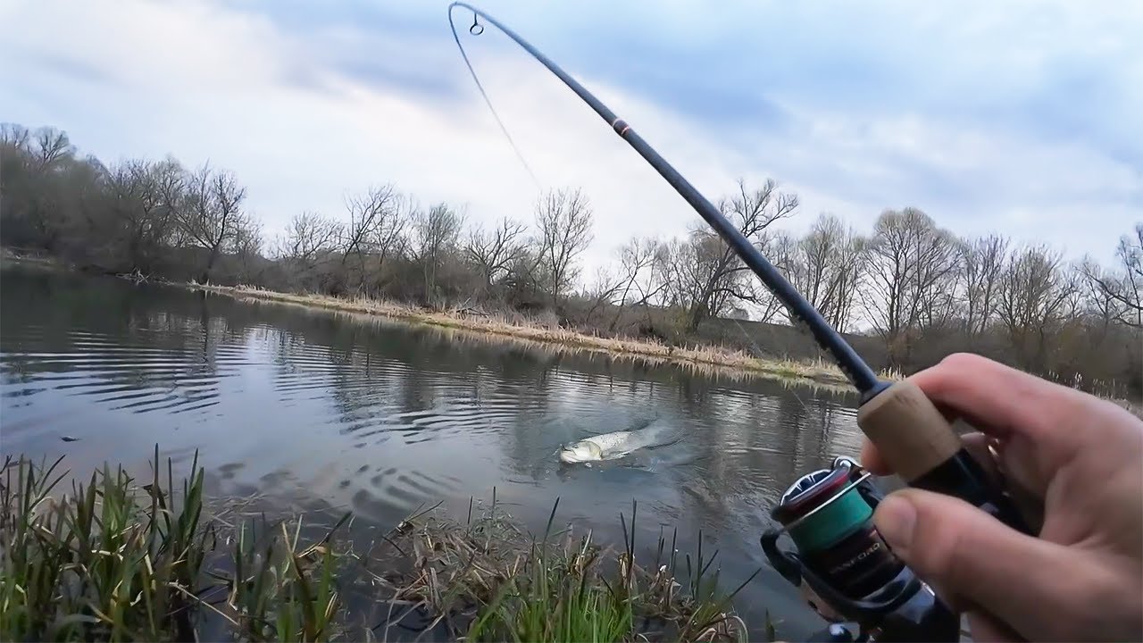 Секретные приманки ловят настоящих МОНСТРОВ! ОНИ Поймают крупного ЖЕРЕХА!