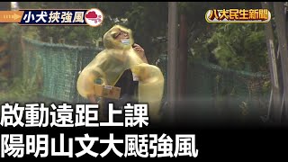 陽明山文大颳強風 啟動遠距上課 |【民生八方事】| 2023100402 @gtvnews27