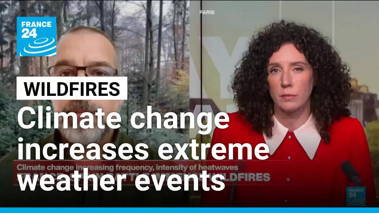France, Spain wildfires: Climate change increasing frequency, intensity of extreme weather events