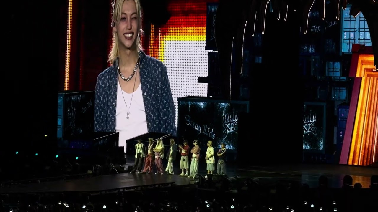 STRAY KIDS PARIS DAY 2 - MENT 4 / FAN PROJECT