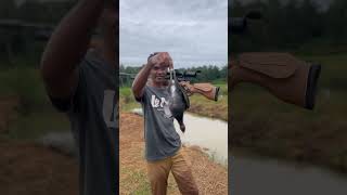 Berburu Mandar Merah birds hunting