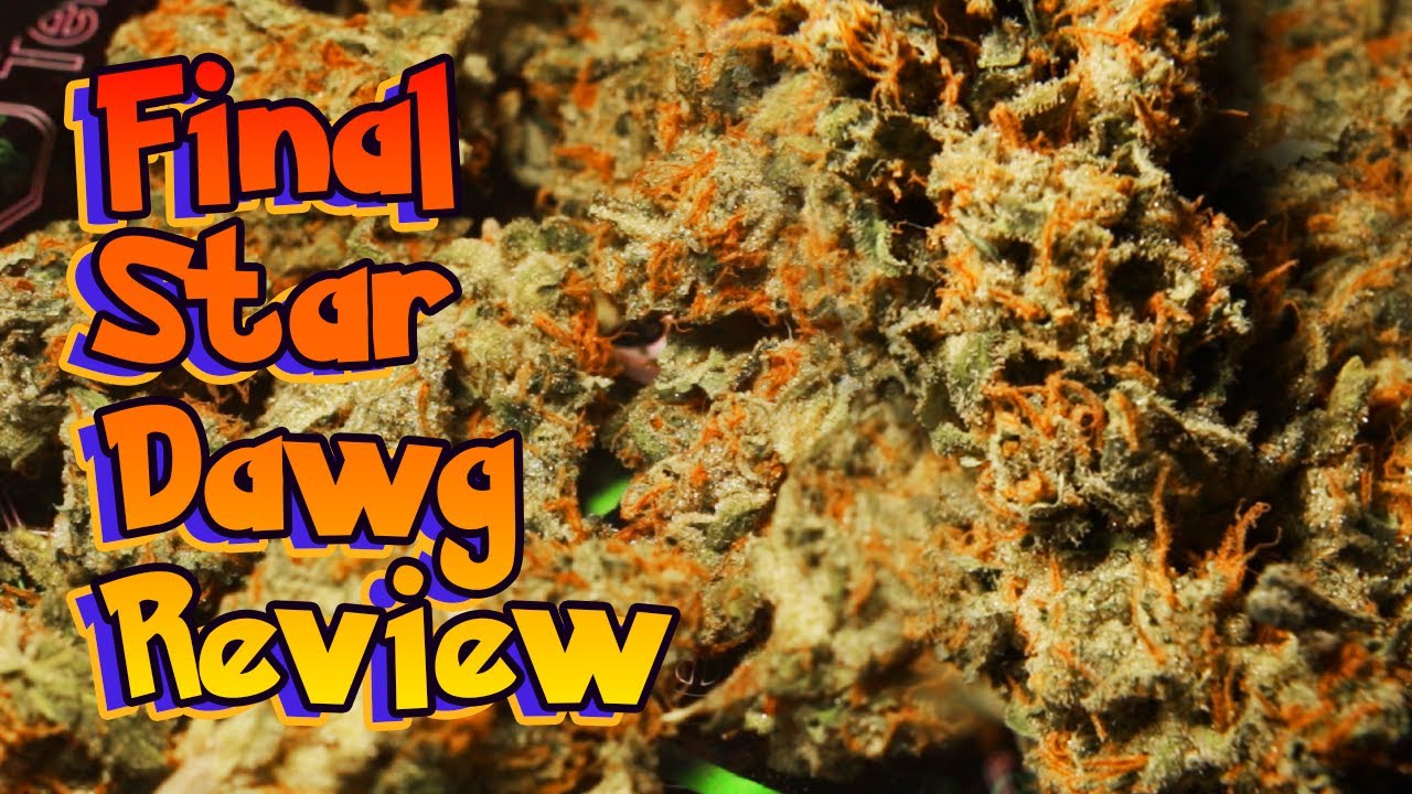 does the CURE matter? Stardawg BUT we review it 1 month LATER home grown 