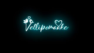 vellipomakey whatsapp status lyrics black screen | black screen lyrics