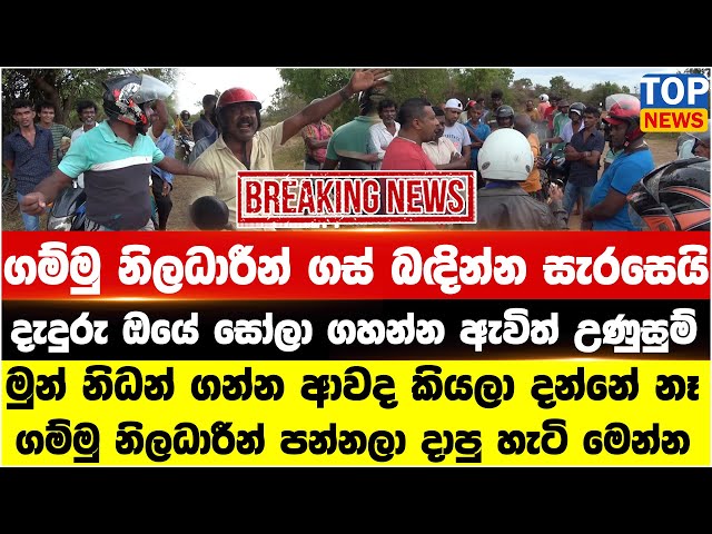 ගම්මු නිලධාරීන් ගස් බඳින්න සැරසෙයි - දැදුරු ඔයේ සෝලා ගහන්න ඇවිත් උණුසුම්
