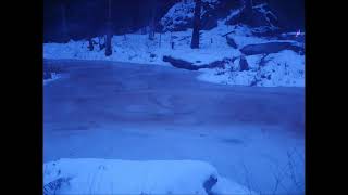 Multi Day Pond Time Lapse incl Bomb Cyclone