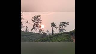 #livingwithnature #hillstation #cherishedmoments #trending #inlovewithnature