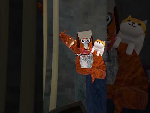 That Maui Wowie That Maui Wowie Gtag Shorts Gorillatag Gtag Vr Fyp Gtcs GorillaTagVR 