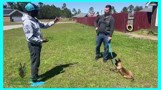 The Dog Trainer Interview For MadisonBelleK9