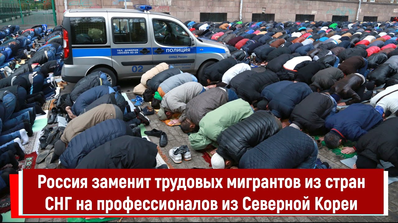 Россия заменит трудовых мигрантов из стран СНГ на профессионалов из ...