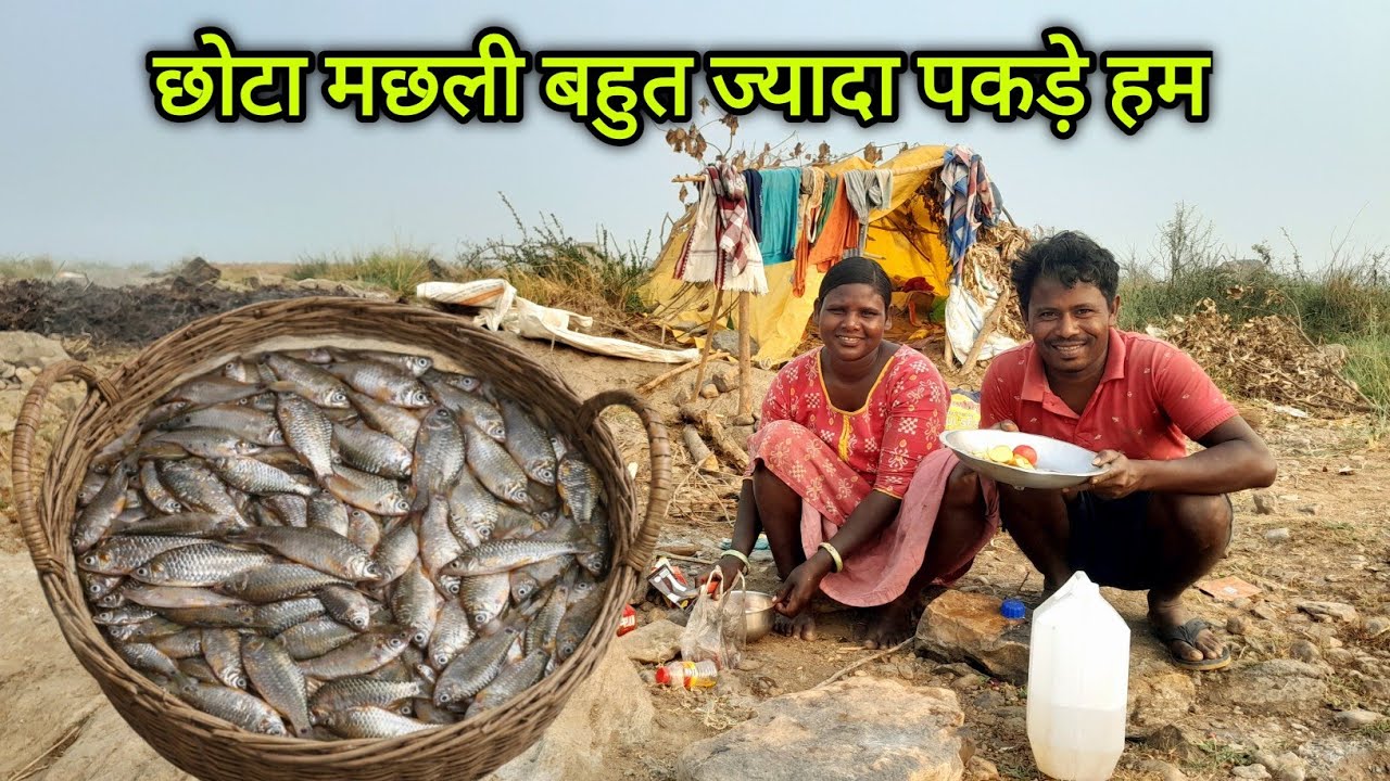छोटा मछली बहुत ज्यादा पकड़े हम