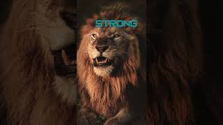 Great Things Take Time ..