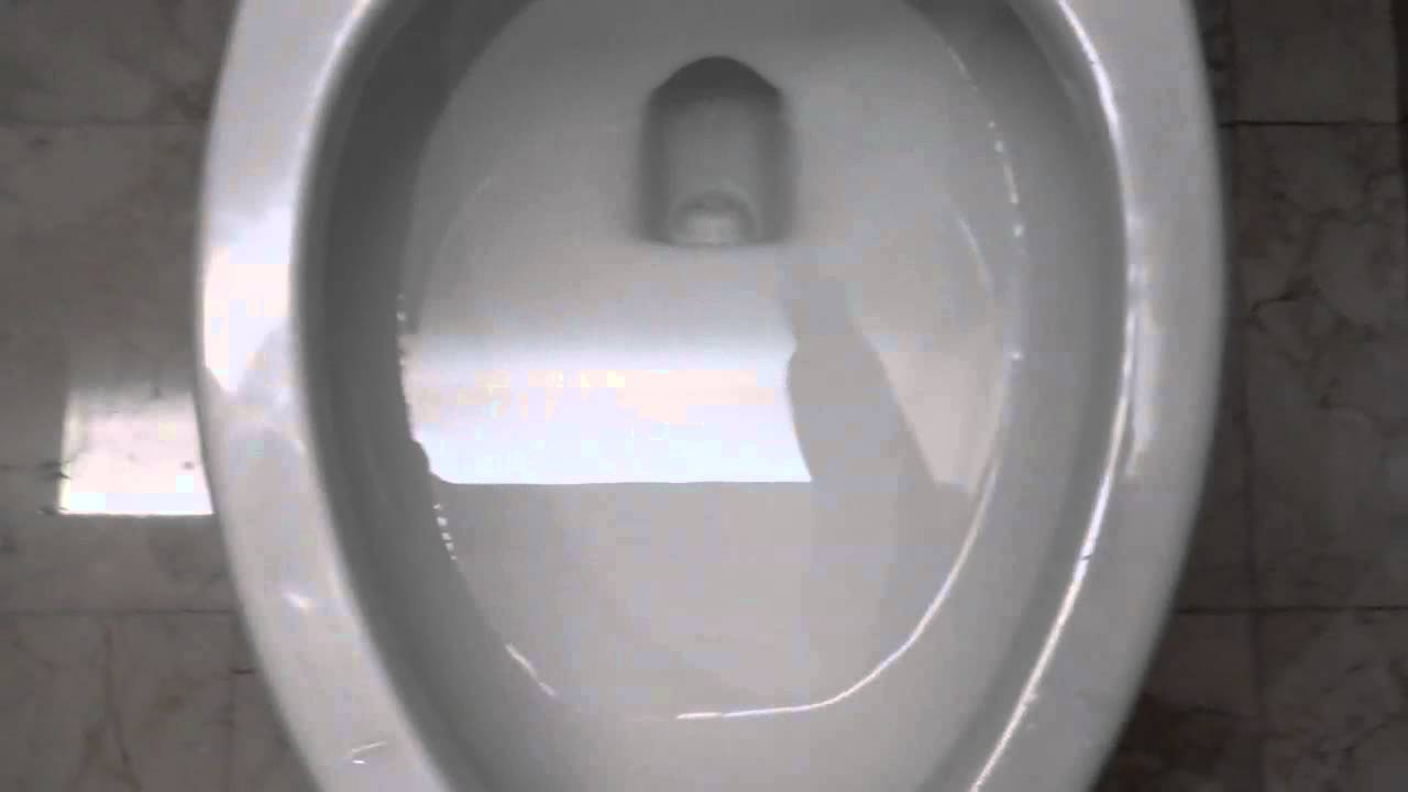 3975 Newer Gerber Wall Hung Toilet YouTube