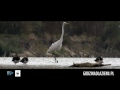 Godzina dla Wisły 2017 - WWF Polska