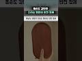 똥손도 감탄한 다이소 쟁반의 반전 정체 #인테리어 #diy #다이소템