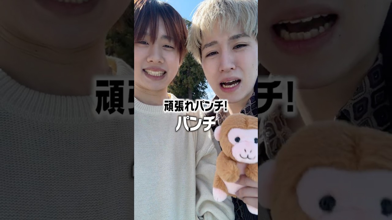 市川市動植物園のパンチくんに会いに行ったら元気もらえた🐒