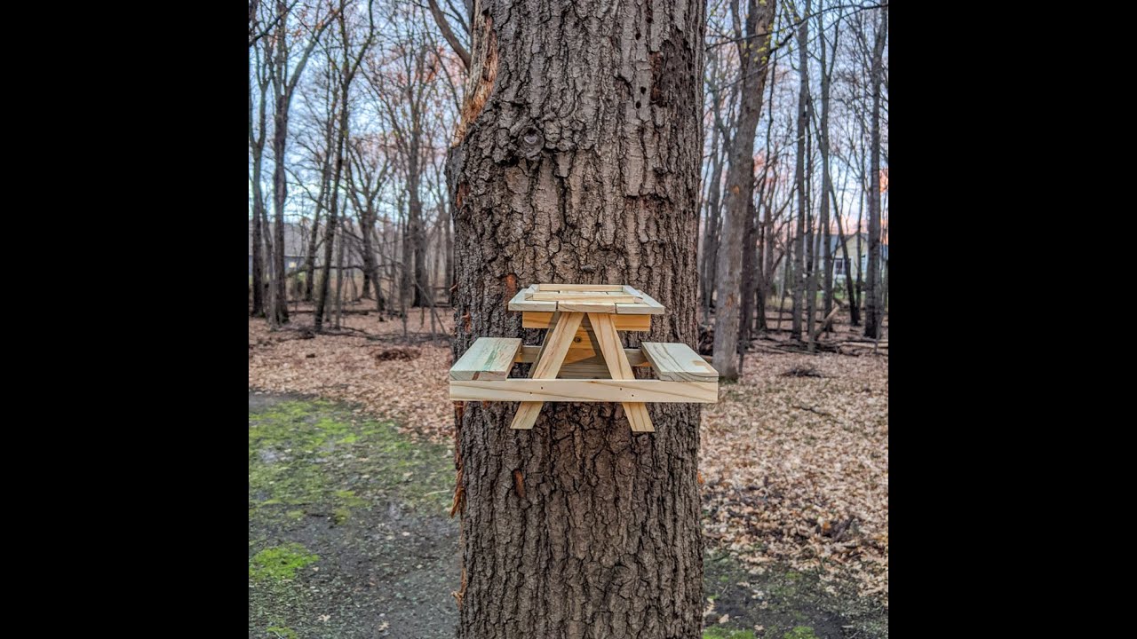 Building a Squirrel Picnic Table YouTube