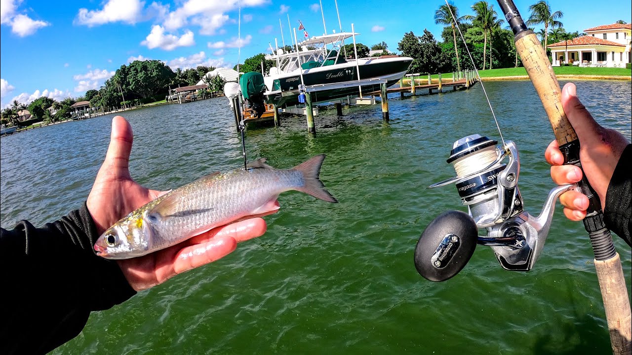 Watch Fishing Live Mullet for Big Saltwater Fish Video on