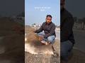 आज गो माता की निवाड़ी हाईवे पर एक्सीडेंट से मौत हो गई है