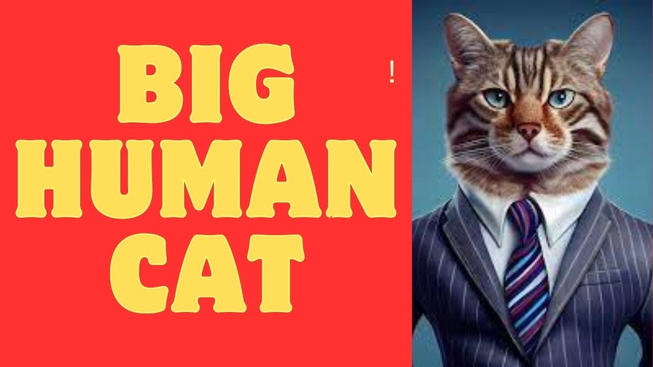 "Do cats think humans are like them?" YouTube