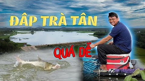 Câu Đài Thiên Nhiên | Đập Trà Tân - Bình Thuận - Câu Cá Mè chưa bao giờ dễ như vậy!