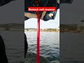 Nikiwa Na Warabu Wa Pemba Unguja Kama Ivi Funny Wolf Kenya Travel Nikiwa Na Warabu Wa Pemba Unguja Kama Ivi Funny Wolf Kenya Travel