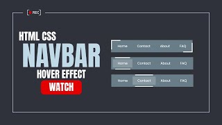 Celebrity Pure CSS Navigation Border Animation Menu | Creative HTML & CSS Navbar Hover Effect Tutorial Net Worth