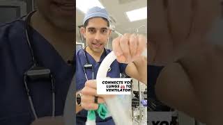 THIS Keeps You Alive in Surgery