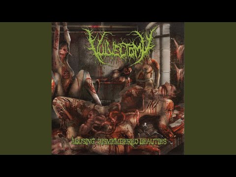 Abusing Dismembered Beauties artwork