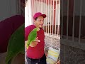 El loro MULTIUSOS #venezuela #funny #humor #comedy #comedia