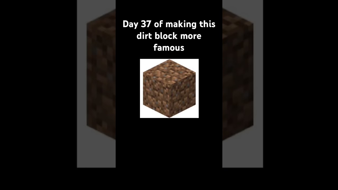 Day 37 of making this dirtblock famous 