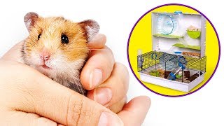 L'éclate totale pour tes hamsters : Construis-leur Une Super Maison
