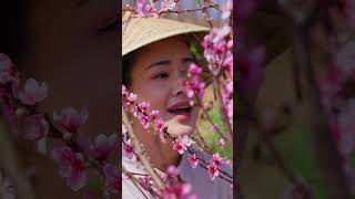 超级解压的采摘过程，这种春天的野菜你们吃过吗？#shorts #asmr #spring #滇西小哥 #cooking