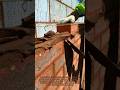 Bricklaying Hack #Bricklaying #MasonryHack #ConstructionTrick #BrickWall #CementWork #BuilderSkills