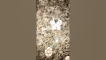 Oops #music #remix #electronicmusic #rave