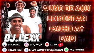 Los Cachos ❌ Salsa Choke ❌ Coke el Aparato ❌ DJ Lexx