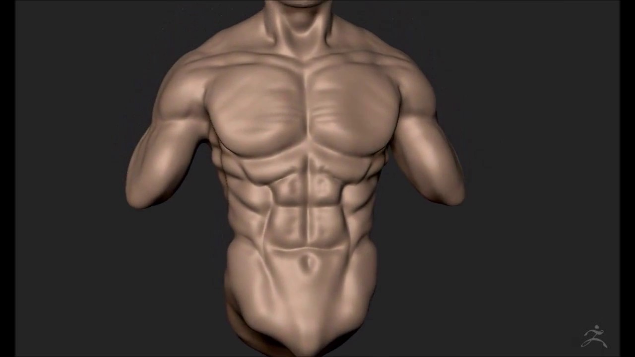 1 welcome to artistic anatomy in zbrush 字幕