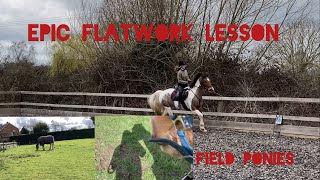 EPIC FLATWORK LESSON! Working On Our Canter | Lily And Chilli