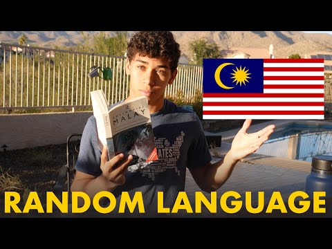 Learning a random language in two weeks (Malay)