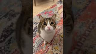 Celebrity August 27, 2024 Wealth