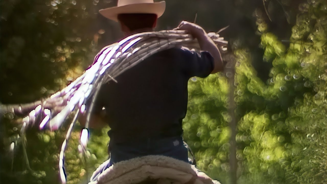 El Valle del Elqui, del borde del abismo al lecho del agua - Remasterizado