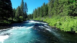 Virtual Hike 3 Miles Alongside River In Ponderosa Pine Forest