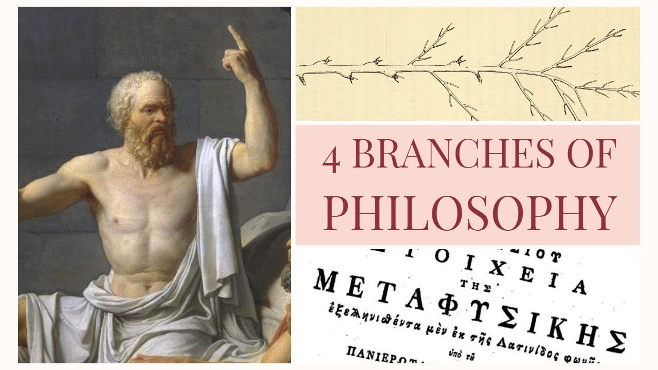 philosophy branches