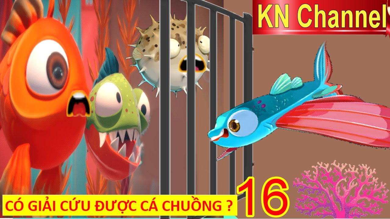 THỬ THÁCH LÀM CÁ 7 NGÀY TẬP 16 GIẢI CỨU CÁ CHUỒN CÓ THÀNH CÔNG ? YouTube
