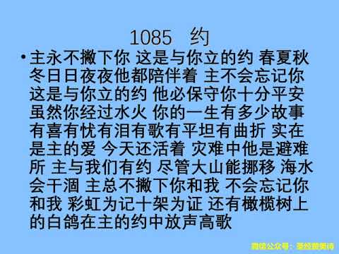 迦南诗选 1085 约